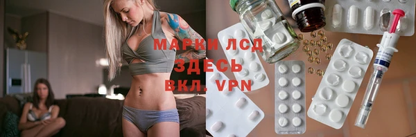 индика Армянск