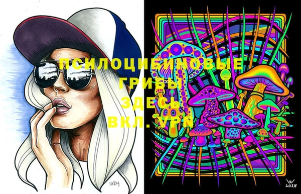индика Армянск