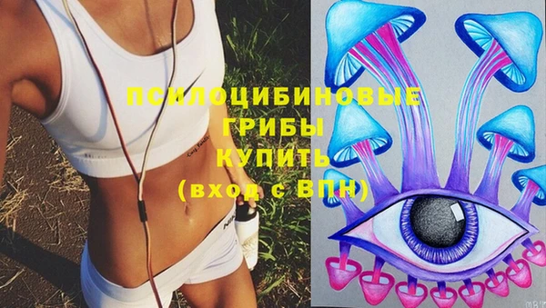 индика Армянск
